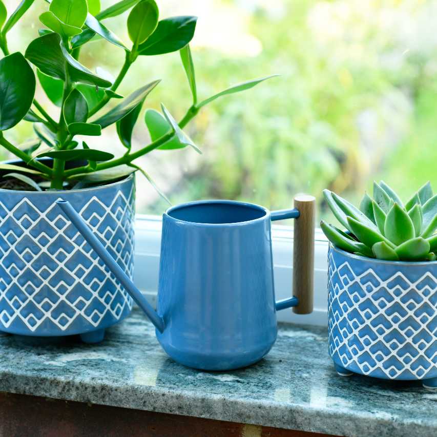 Burgon and Ball indoor watering can - heritage blue - Image 5
