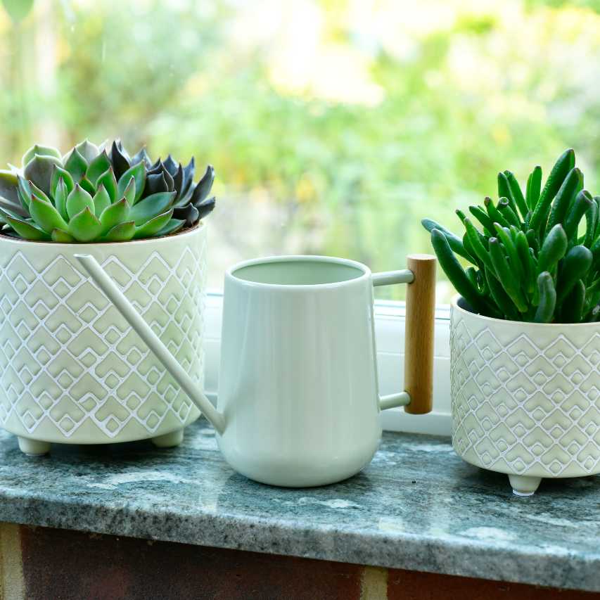 Burgon and Ball indoor watering can - pale jade - Image 5