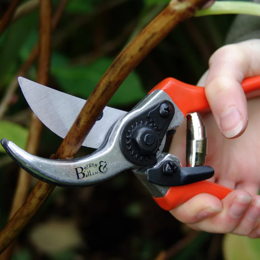 Burgon and Ball RHS bypass secateurs - Image 3
