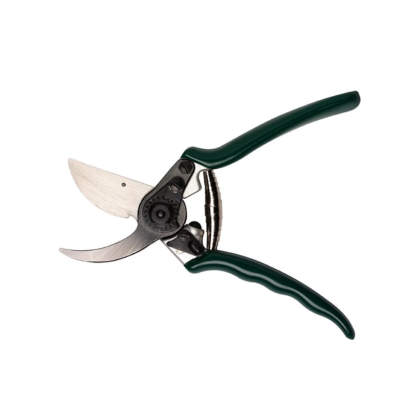 Burgon and Ball RHS professional bypass secateurs