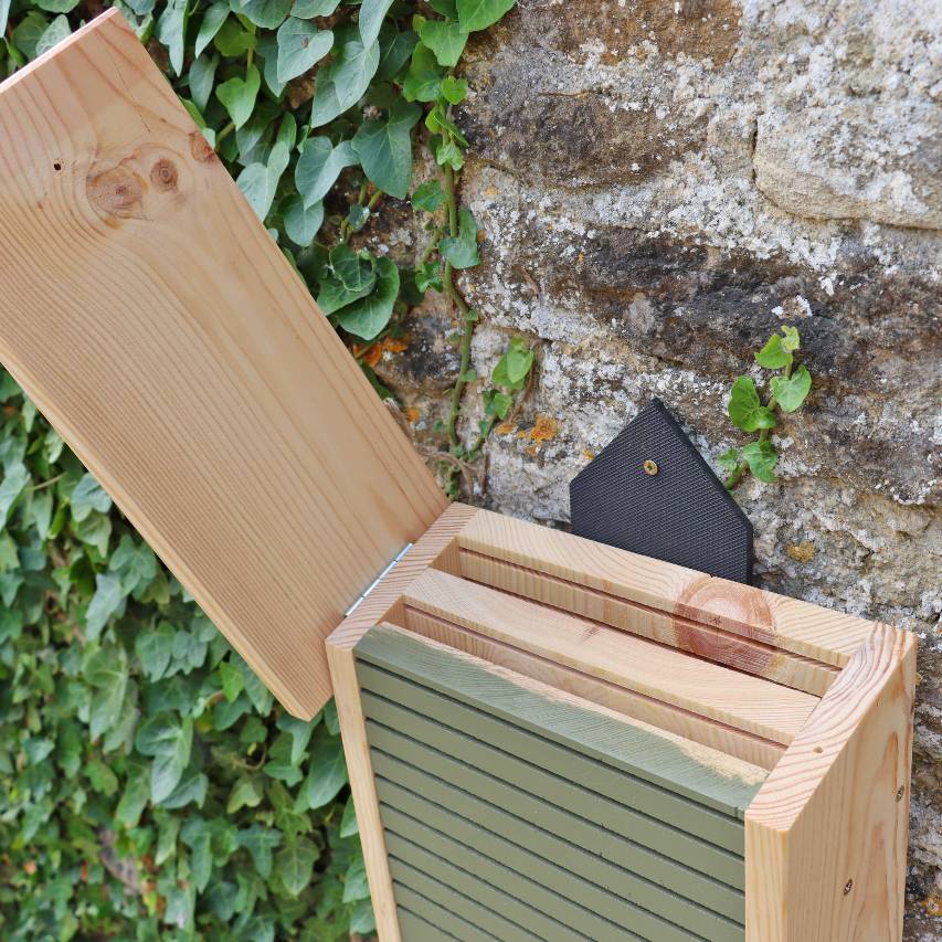 Conservation bat box - Image 4