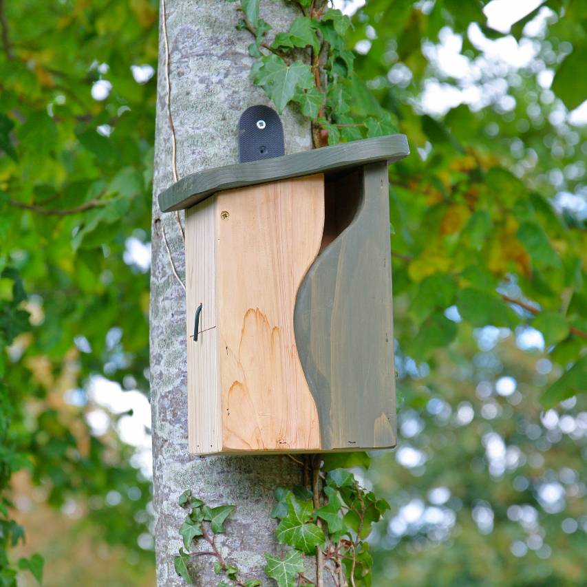 Curve cavity nesting box