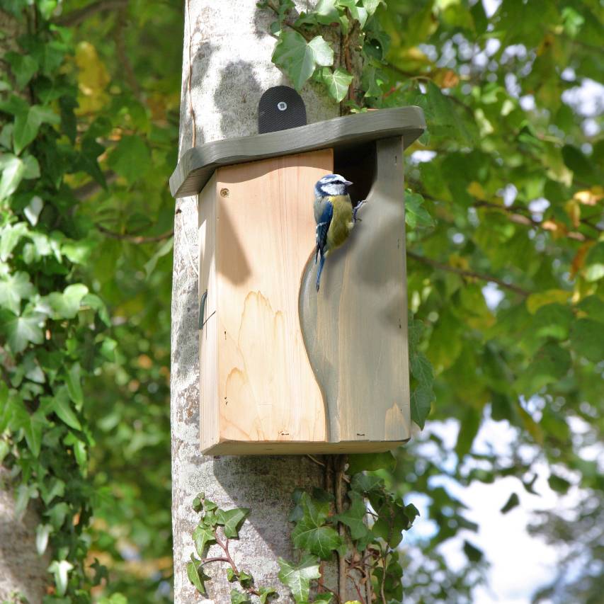 Curve cavity nesting box - Image 2
