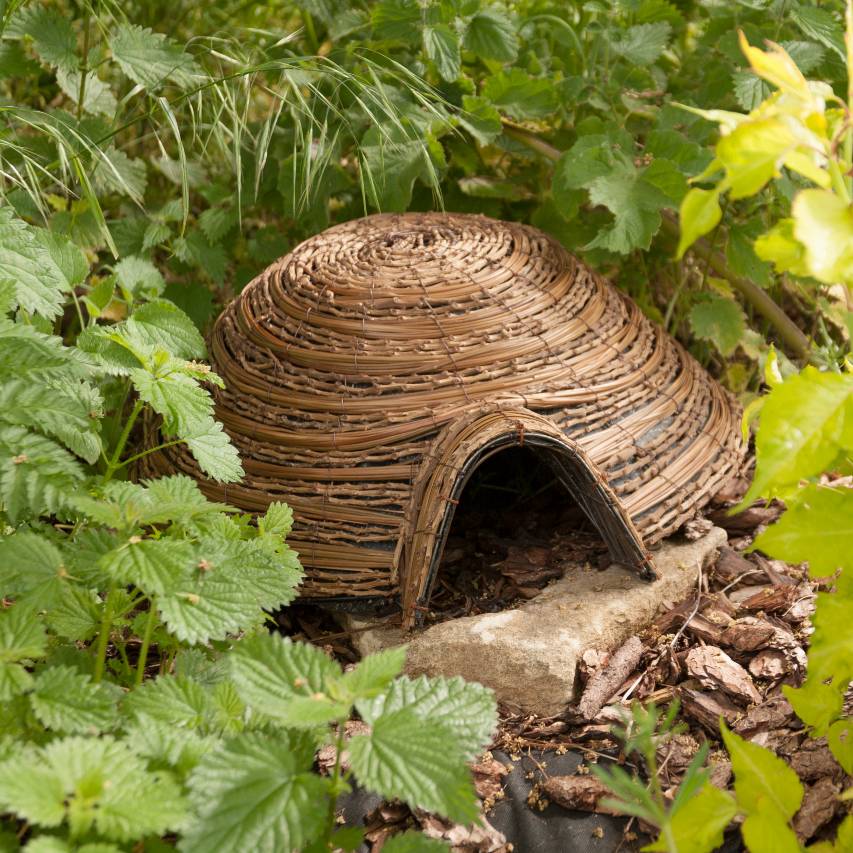 Dome hedgehog house - Image 2
