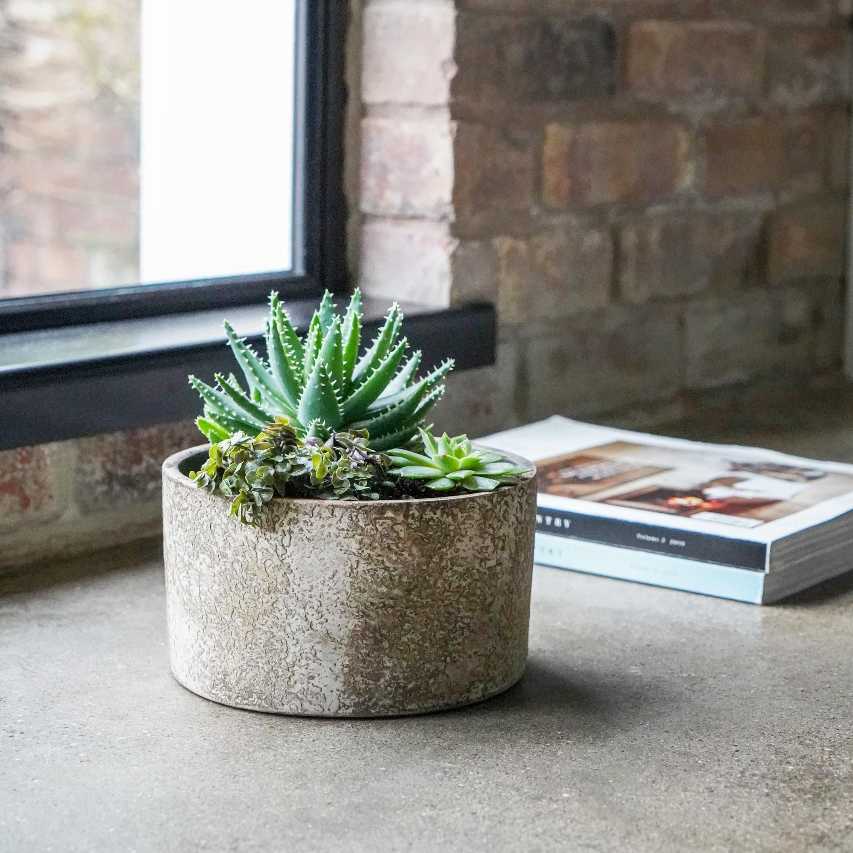 Handthrown terracotta plant bowl - aged bark - Image 4