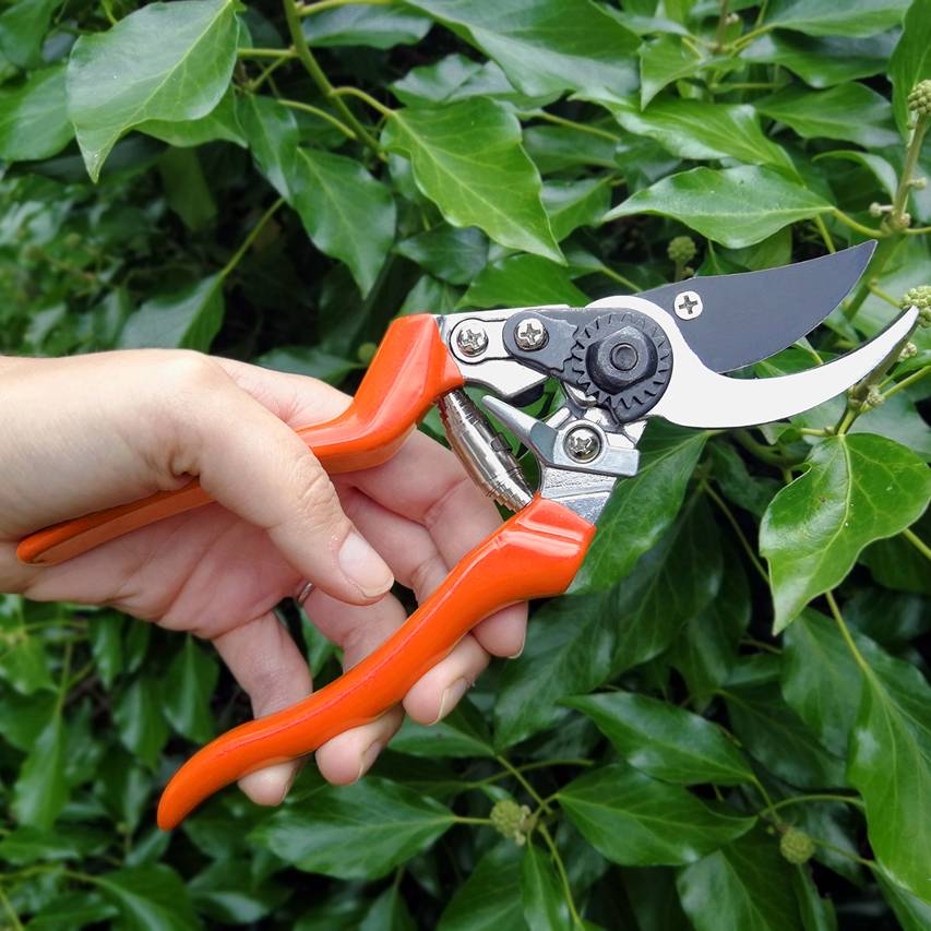 Left-handed bypass secateurs - Image 2