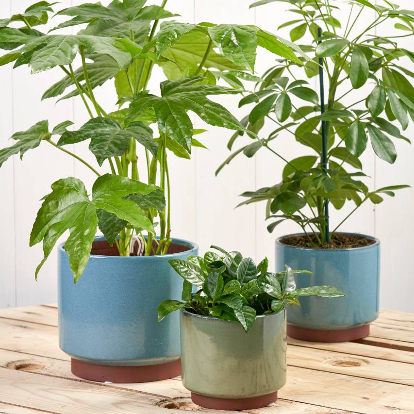 Malibu glazed pot - green - Image 4