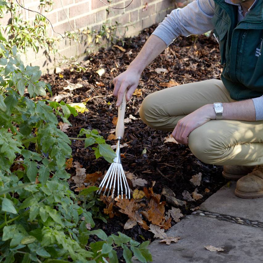 Mid handled shrub rake - Image 3