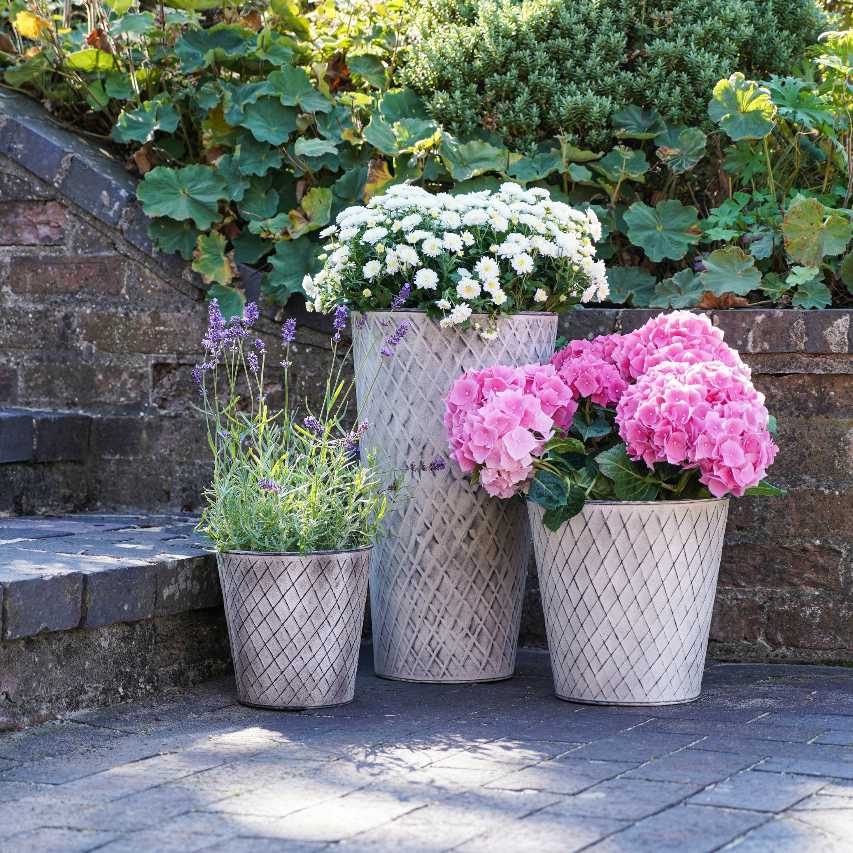Outdoor Chatsworth zinc planter - Image 4