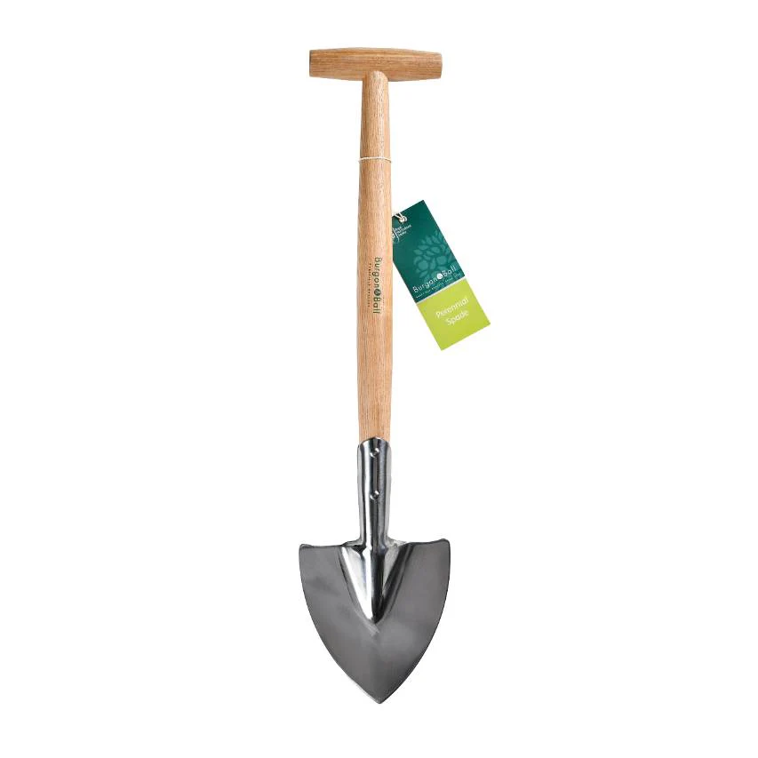 Perennial spade - Image 3