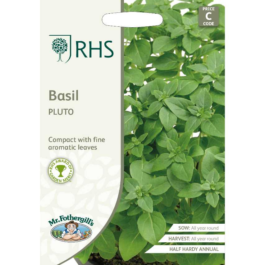 RHS basil 'Pluto'