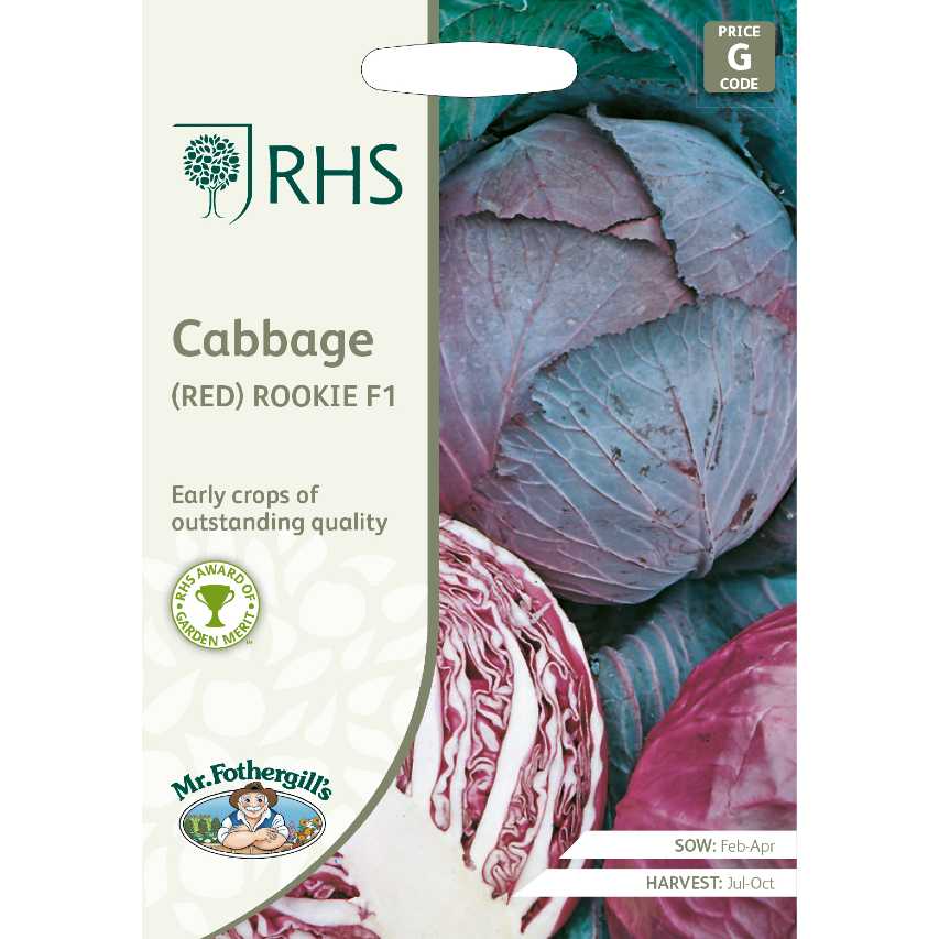RHS cabbage (red) 'Rookie'