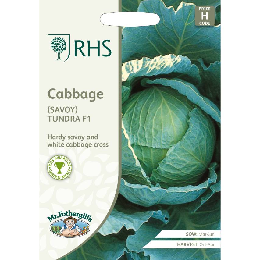RHS cabbage (savoy) 'Tundra' F1