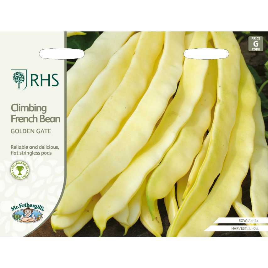 RHS climbing French bean 'Golden Gate'