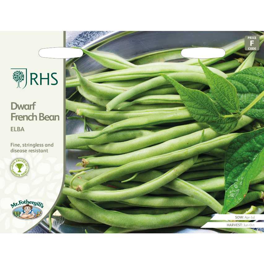 RHS dwarf French bean 'Elba'