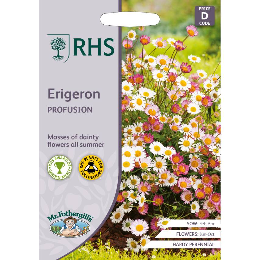 RHS erigeron 'Profusion'