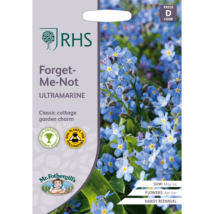 RHS forget-me-not 'Ultramarine'