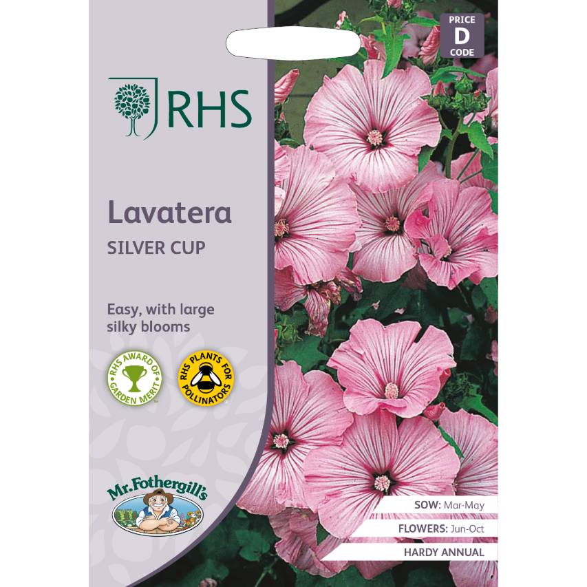 RHS lavatera 'Silver Cup'