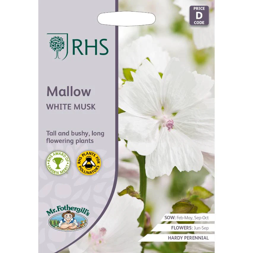 RHS mallow 'White Musk'