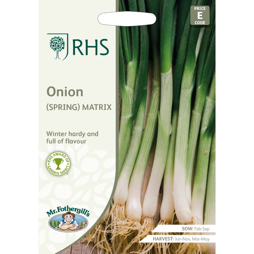 RHS onion (spring) 'Matrix'