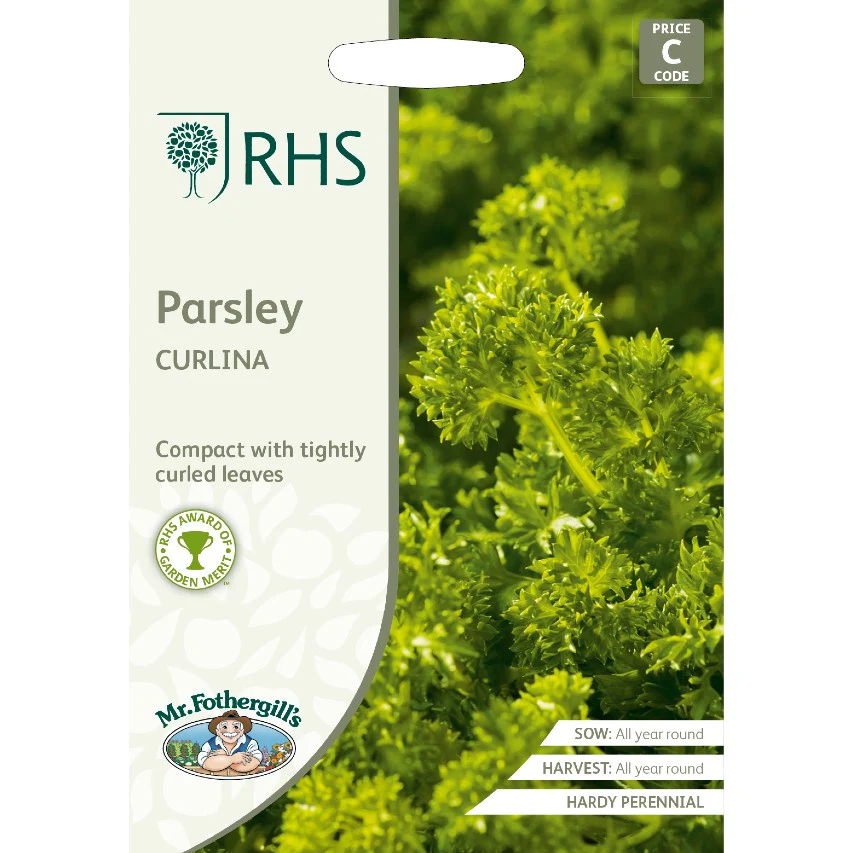 RHS parsley 'Curlina'