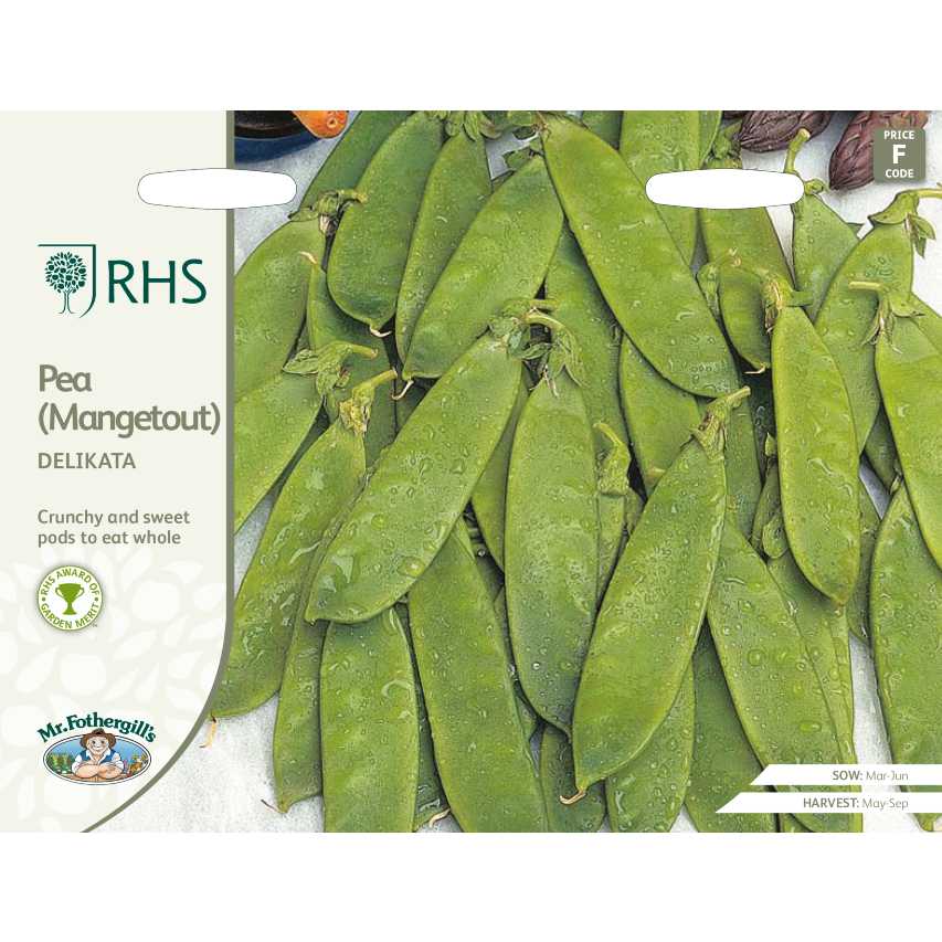 RHS pea (mangetout) 'Delikata'