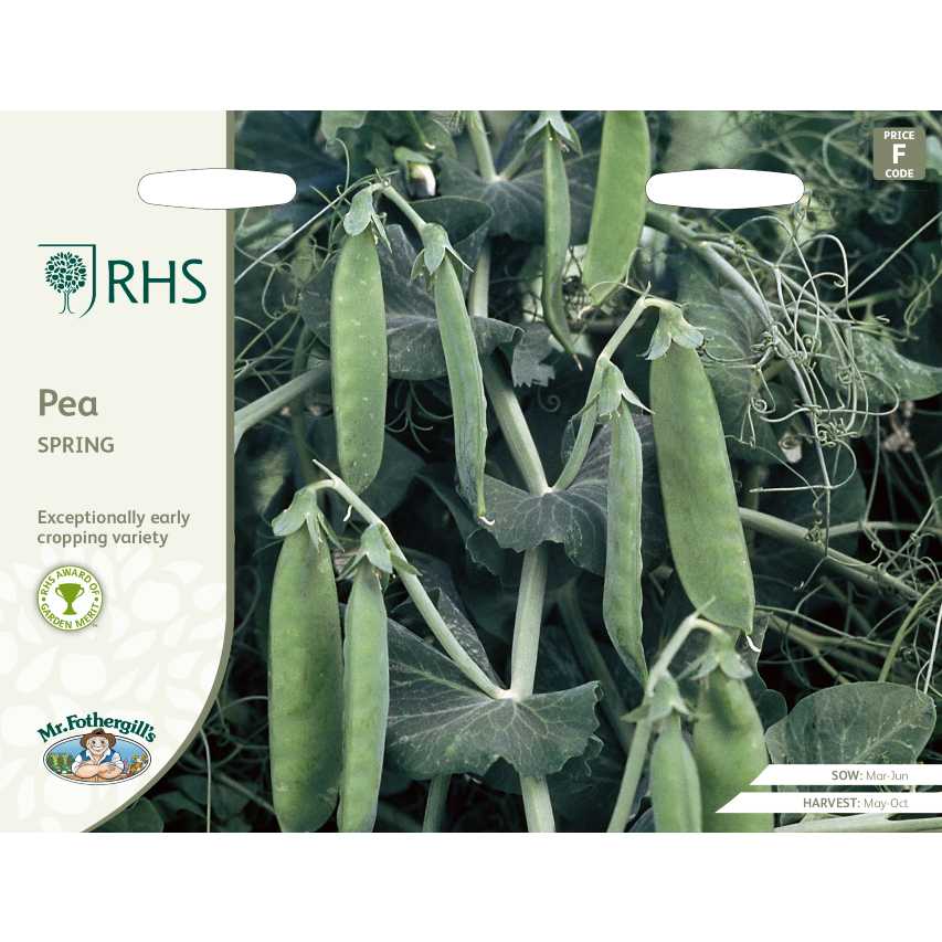 RHS pea 'Spring'