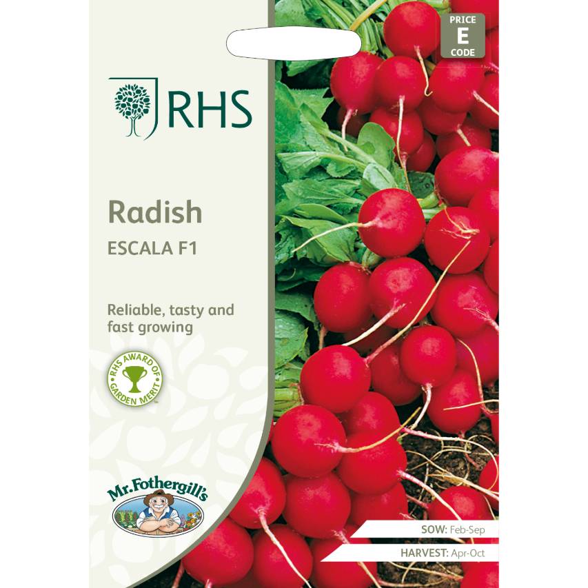 RHS radish 'Escala' F1