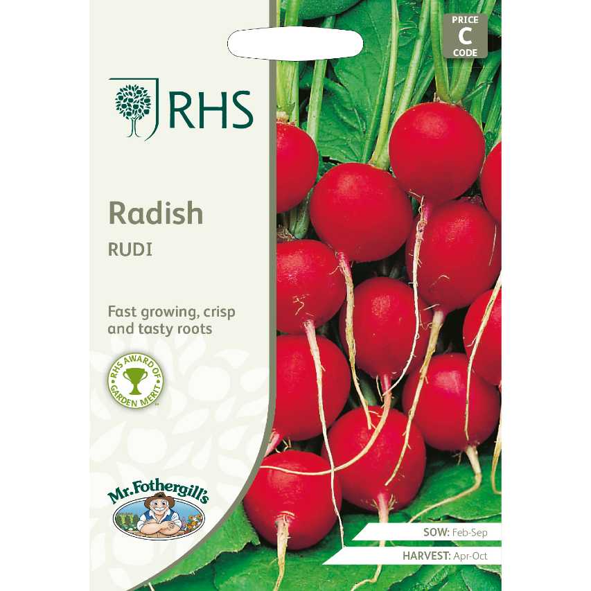 RHS radish 'Rudi'