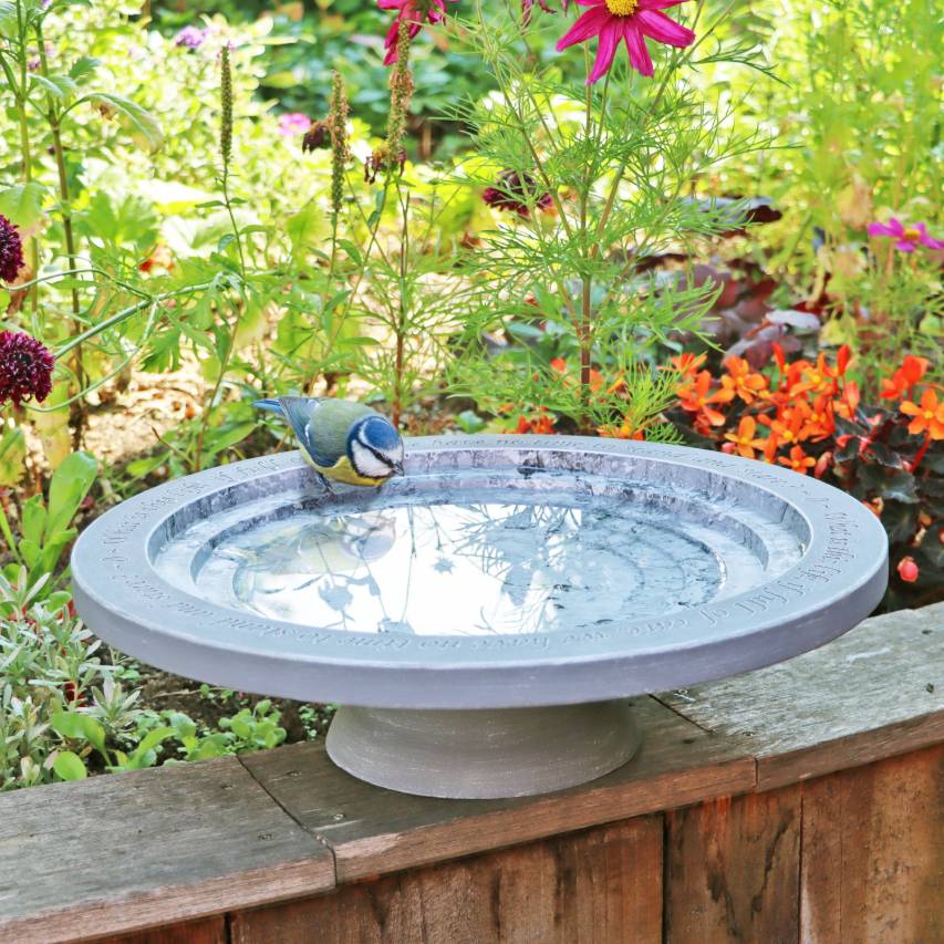 Shenstone theatre bird bath and drinker - Image 6