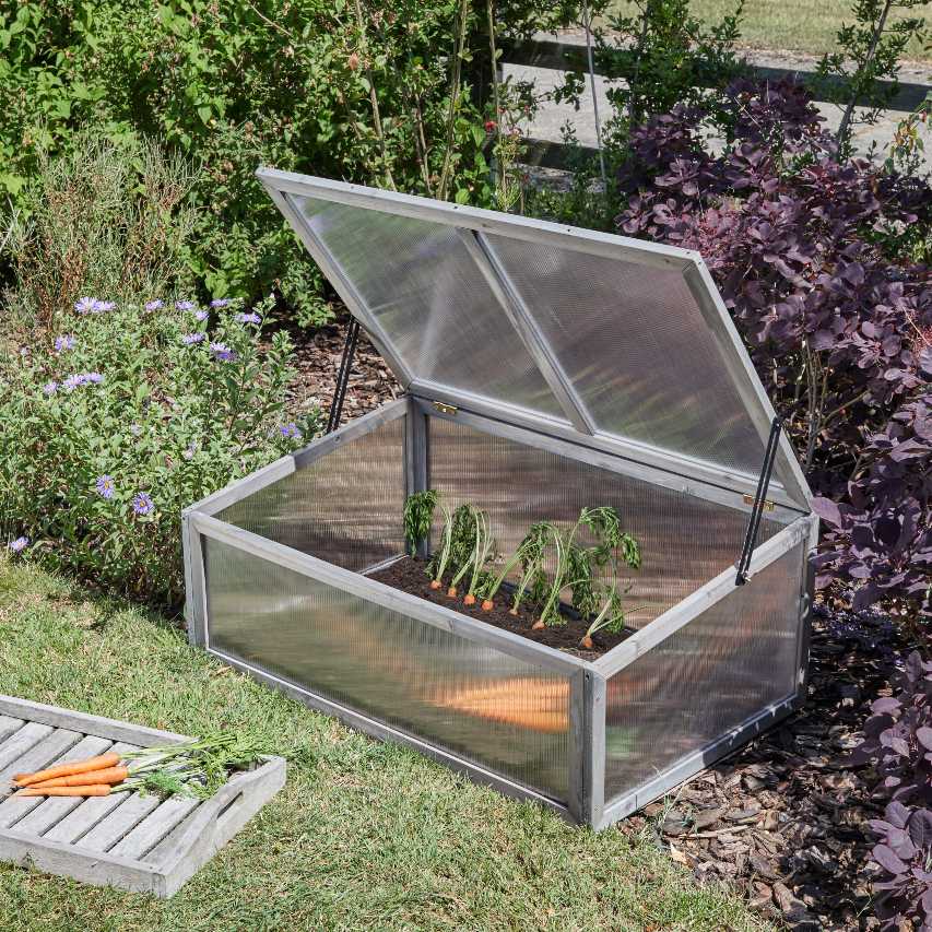 Timber grozone coldframe