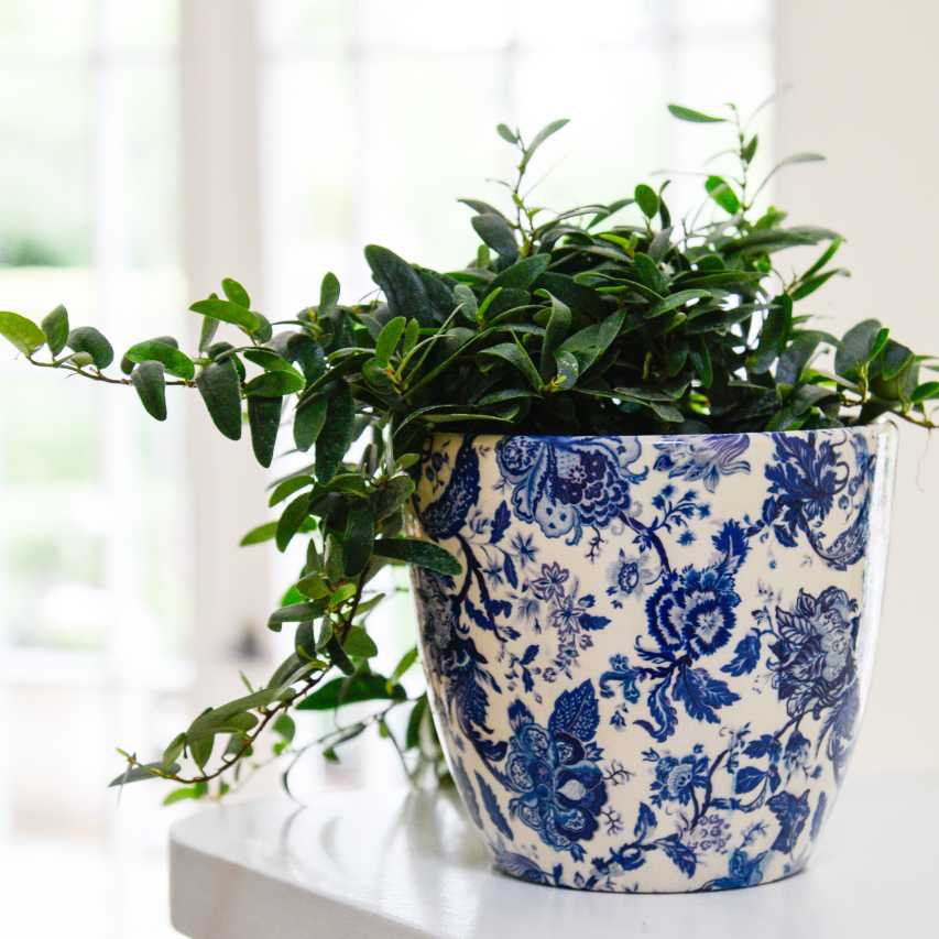 Vintage floral print plant pot - blue - Image 2