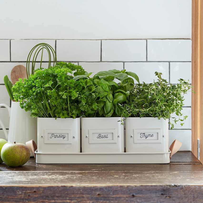 Windowsill herb planter - stone - Image 2